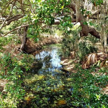 Kapok Park - Parks Near Me - Clearwater, Florida