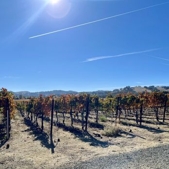 Rubino Estates Winery - Beautiful - Wineries Near Me - Pleasanton, California
