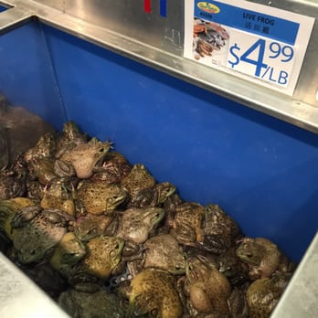 Good Fortune Supermarket - Live frogs - Grocery Near Me - Monrovia, California