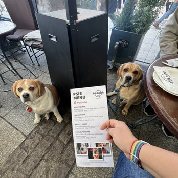 Hard Rock Cafe Kraków - My babies approve of the Dog Menu - Burgers Near Me - Kraków, Massachusetts