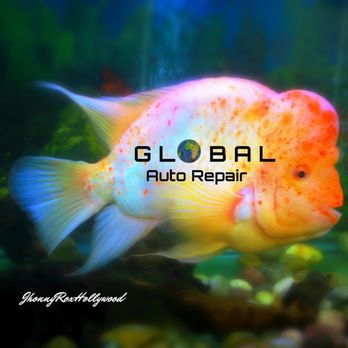 Global Auto Repair - Auto Repair Near Me - Honolulu, Hawaii Global Auto Repair - Auto Repair Near Me - Honolulu, Hawaii