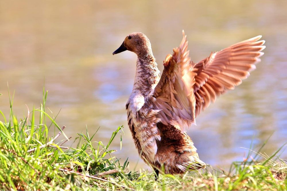 CRESCENT BEND NATURE PARK Updated November 2024 31 Photos & 10