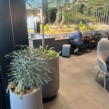 American Express Centurion Lounge - Airport Lounges Near Me - Atlanta, Georgia