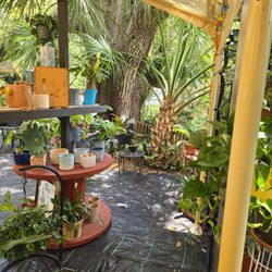 Garage to Garden