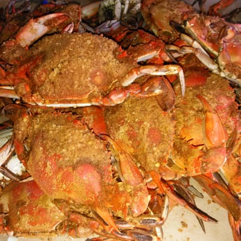 Captain James Landing - Seafood Near Me - Baltimore, Maryland Captain James Landing - Seafood Near Me - Baltimore, Maryland