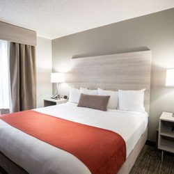 Country Inn and Suites Lake City - SUITE-1 KING BED,NSMK,SEP BEDRM,PILLOWTOP,MICRFG,SOFABED,FULL BREAKFAST
