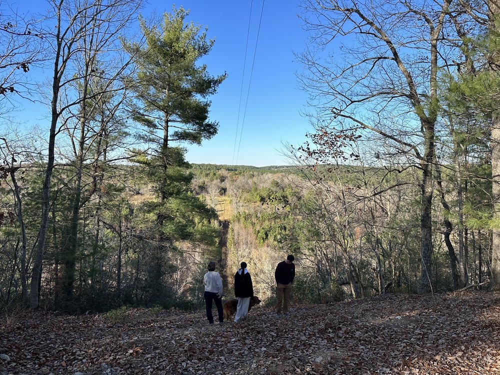 White Pines Nature Preserve