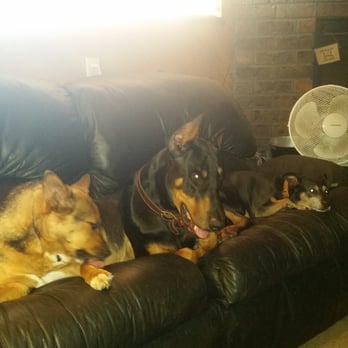 Dublin Veterinary Hospital - Maddie, max bandit - Veterinarians Near Me - Dublin, California Dublin Veterinary Hospital - Maddie, max bandit - Veterinarians Near Me - Dublin, California