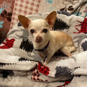 Marina Animal Hospital - Veterinarians Near Me - Oxnard, California Marina Animal Hospital - Veterinarians Near Me - Oxnard, California