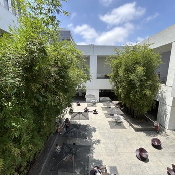 Hammer Museum - Another view of the courtyard July 2025 - Museums Near Me - Los Angeles, California Hammer Museum - Another view of the courtyard July 2025 - Museums Near Me - Los Angeles, California