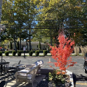Fundati Coffee - Outdoor seating area (with beautiful tree!) - Coffee & Tea Near Me - Lincoln, Rhode Island