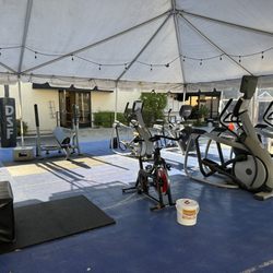 Davis Swim and Fitness