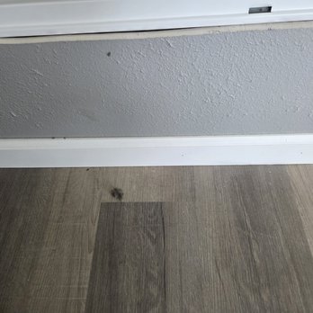 Marshall Cleaning Service - Mess they created and left - Carpet Cleaning Near Me - Knoxville, Tennessee