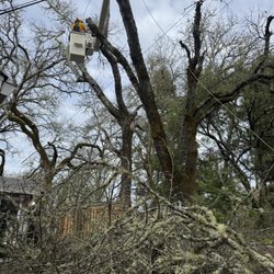 Horizon Professional Tree Management