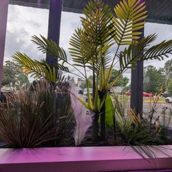 Elisa's Cuban Coffee and Kitchen - Decor