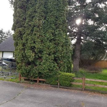 Three Brothers Landscaping - Landscaping Near Me