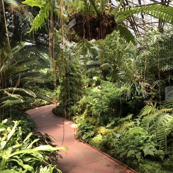 Lincoln Park Conservatory - Inside the conservatory. - Parks Near Me - Chicago, Illinois