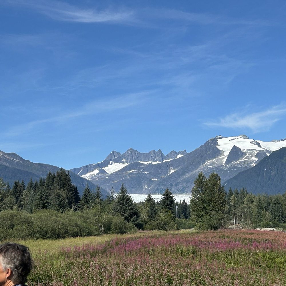 M&M Tours - Vacation Rental Agents Near Me - Juneau, Alaska M&M Tours - Vacation Rental Agents Near Me - Juneau, Alaska