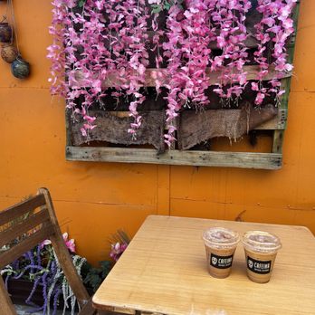 Cafeina Cafe - Patio! - Cafes Near Me - San Diego, California Cafeina Cafe - Patio! - Cafes Near Me - San Diego, California