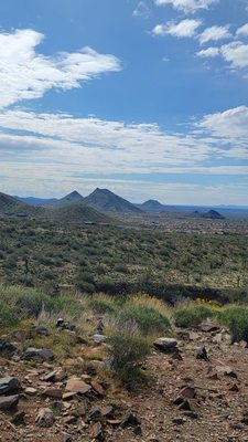 Lost Dog Wash Trailhead by null