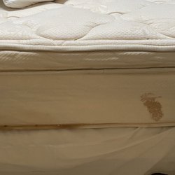 VTrips - Gross terrible mattress