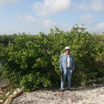 Mark Lerch Landscape Architecture - Landscape Architects or Designers Near Me - Fort Myers, Florida Mark Lerch Landscape Architecture - Landscape Architects or Designers Near Me - Fort Myers, Florida