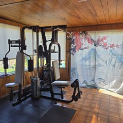 5 Element Fitness