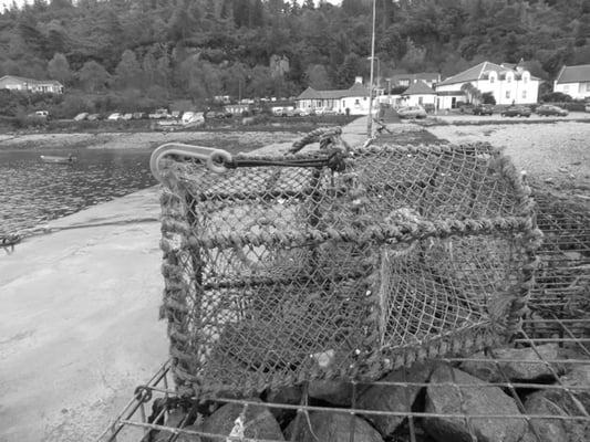 The Pier House by null