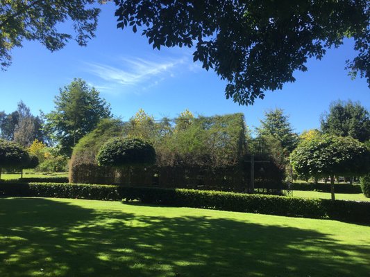 TreeChurch and Gardens by null