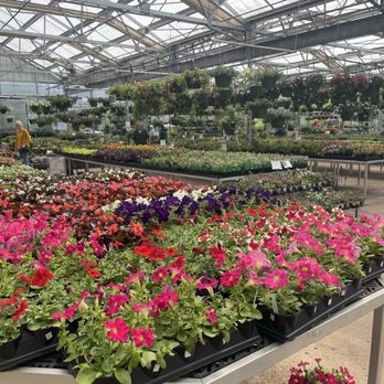 Louisiana Nursery - Nurseries & Gardening Near Me - Baton Rouge, Louisiana