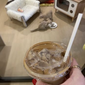 Affogatto - Coffee & Tea Near Me - Baltimore, Maryland
