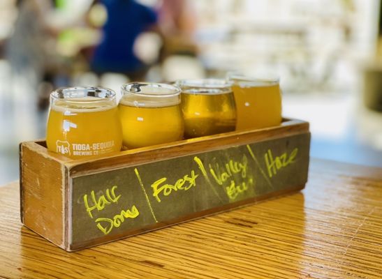 Tioga-Sequoia Beer Garden by null