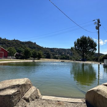 Shadowland Foundation - Beautiful pond where wolves get to play sometimes - Community Service/Non-Profit Near Me - Lake Hughes, California Shadowland Foundation - Beautiful pond where wolves get to play sometimes - Community Service/Non-Profit Near Me - Lake Hughes, California
