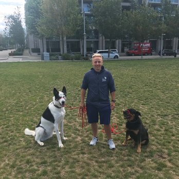 Canine Solutions Dog Training - Pet Training Near Me Canine Solutions Dog Training - Pet Training Near Me