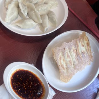 Dumpling Xi - Fried and steamed dumplings - Chinese Near Me - New York, New York