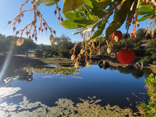 Napa Valley Tours & Transportation by null