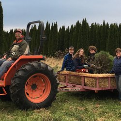 Top 10 Best Christmas Trees Near Highland Ave Louisville Ky 40204 Last Updated October 2020 Yelp