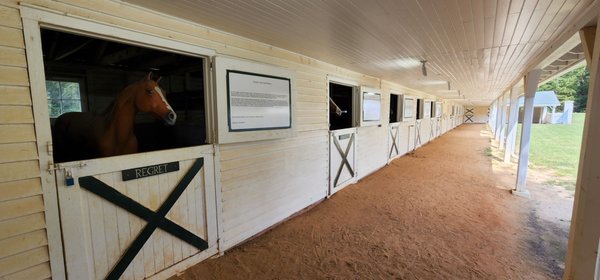 Hopelands Gardens by null