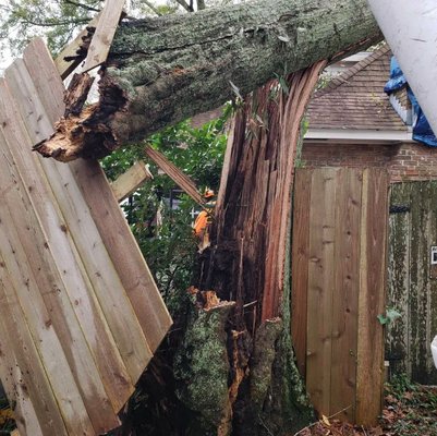 Emergency Tree Services by Benton Tree Services - When unexpected tree emergencies strike, Benton Tree Services is here to help. With over 20 years of industry experience and 17 years of dedicated service, our team of ISA Licensed and Certified Arborists provides prompt and reliable emergency tree services for both commercial and residential properties. Fully licensed and insured, we ensure the safe and efficient removal of hazardous trees and debris to protect your property from further damage. Our experts are available around the clock to address urgent tree issues, delivering peace of mind when you need it most. Trust Benton Tree Services for swift, professional emergency tree care solutions. Emergency Tree Services by Benton Tree Services - When unexpected tree emergencies strike, Benton Tree Services is here to help. With over 20 years of industry experience and 17 years of dedicated service, our team of ISA Licensed and Certified Arborists provides prompt and reliable emergency tree services for both commercial and residential properties. Fully licensed and insured, we ensure the safe and efficient removal of hazardous trees and debris to protect your property from further damage. Our experts are available around the clock to address urgent tree issues, delivering peace of mind when you need it most. Trust Benton Tree Services for swift, professional emergency tree care solutions.