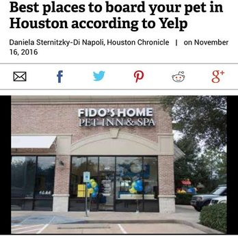 Fidos Home Pet Inn & Spa - Fido's Home is Honored and pleased to be recognized as 'One of the best places to board your pet in Houston' - Pet Groomers Near Me - Katy, Texas Fidos Home Pet Inn & Spa - Fido's Home is Honored and pleased to be recognized as 'One of the best places to board your pet in Houston' - Pet Groomers Near Me - Katy, Texas