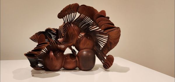 Carnegie Museum of Art by null