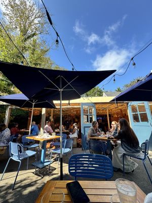 Brotherhood of Thieves by null