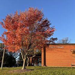 Lake Geneva Public Library
