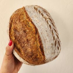 Proof Bread - Sourdough