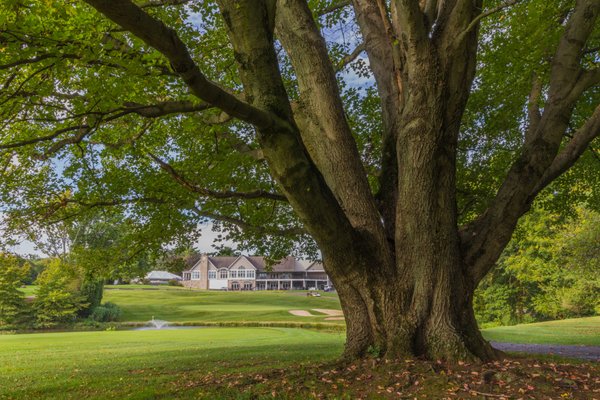 The Legacy Club by null