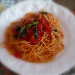 Trattoria Stella