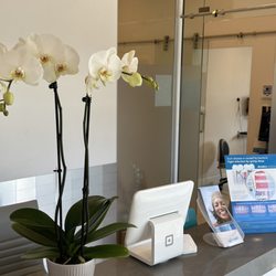 Alluna Dental