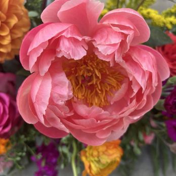 With Flourish - Florists Near Me With Flourish - Florists Near Me