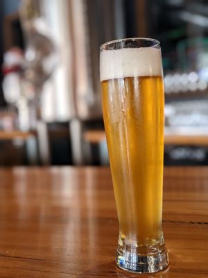 Elation Brewing by null