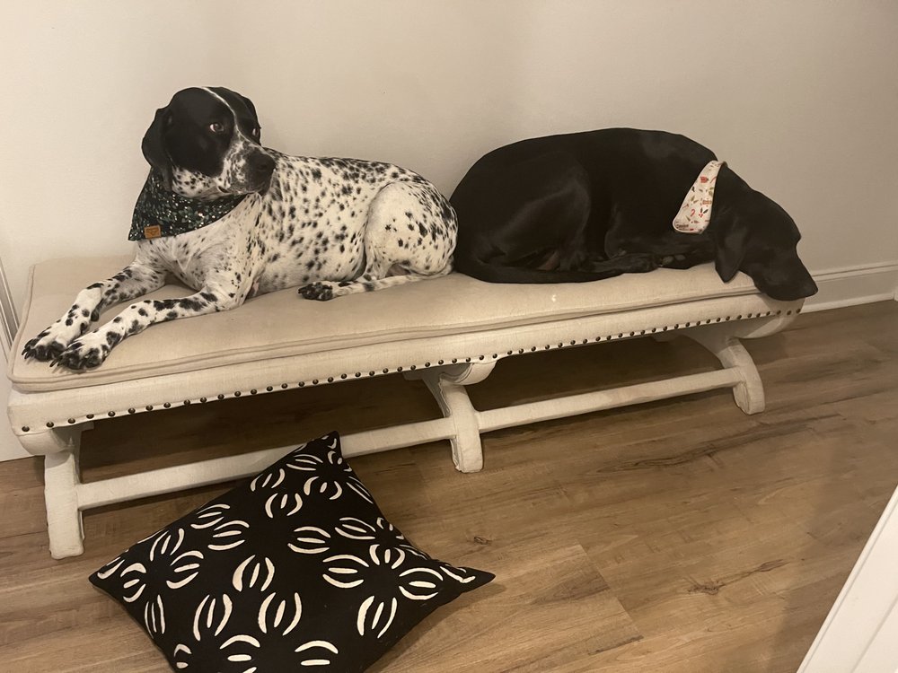 HOT MOPS Request a Quote 55 Photos Lynn Haven, Florida Home